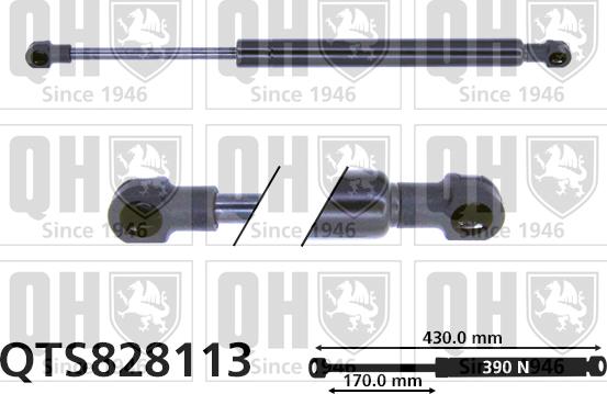 Quinton Hazell QTS828113 - Plinski amortizer, prtljaznik/utovarni prostor www.molydon.hr