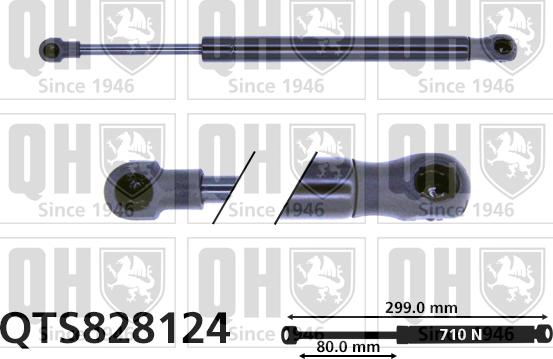 Quinton Hazell QTS828124 - Plinski amortizer, prtljaznik/utovarni prostor www.molydon.hr