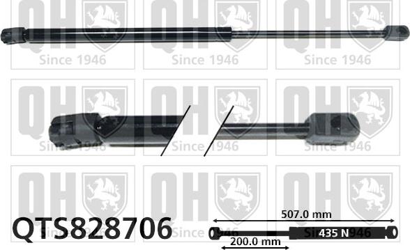 Quinton Hazell QTS828706 - Plinski amortizer, prtljaznik/utovarni prostor www.molydon.hr