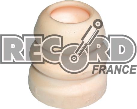 Record France 925772 - Komplet za zaštitu od prasine, amortizer www.molydon.hr