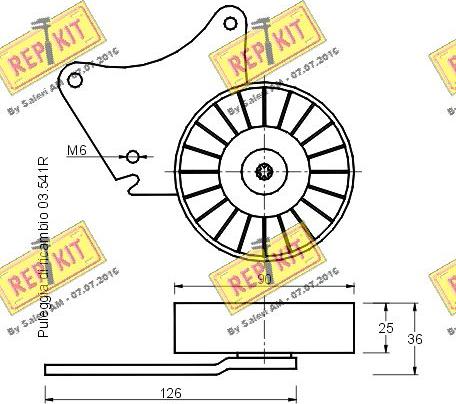 REPKIT RKT1590 - Natezač remena, klinasti rebrasti remen  www.molydon.hr