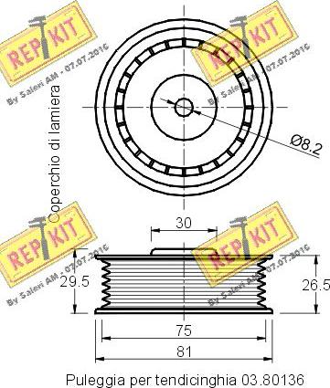 REPKIT RKT1831 - Vodeći valjak , klinasti rebrasti remen  www.molydon.hr