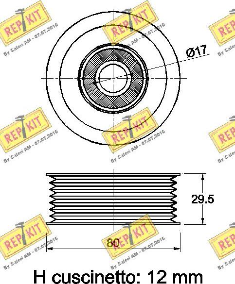 REPKIT RKT3644 - Vodeći valjak , klinasti rebrasti remen  www.molydon.hr