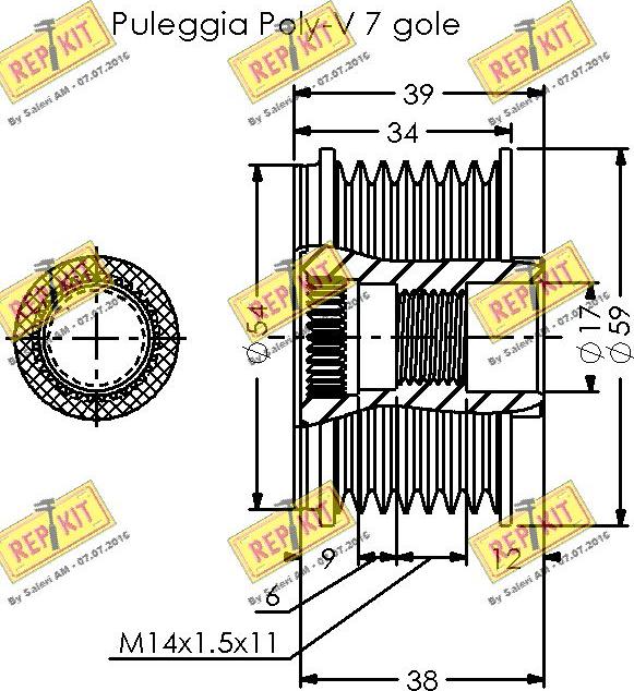 REPKIT RKT3655 - Remenica, alternator www.molydon.hr