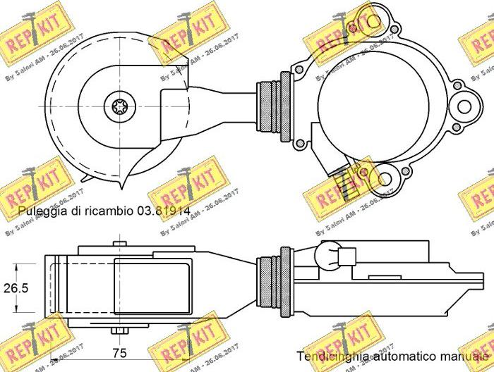 REPKIT RKT3034 - Natezač remena, klinasti rebrasti remen  www.molydon.hr