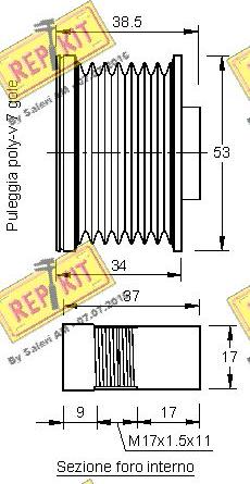 REPKIT RKT3194 - Remenica, alternator www.molydon.hr