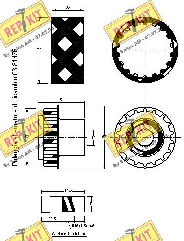 REPKIT RKT3192C - Remenica, alternator www.molydon.hr