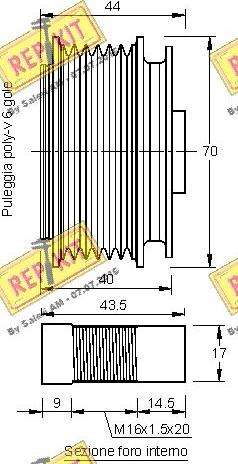 REPKIT RKT3169 - Remenica, alternator www.molydon.hr