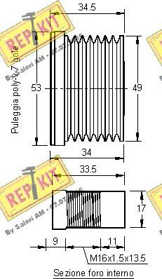 REPKIT RKT3161 - Remenica, alternator www.molydon.hr