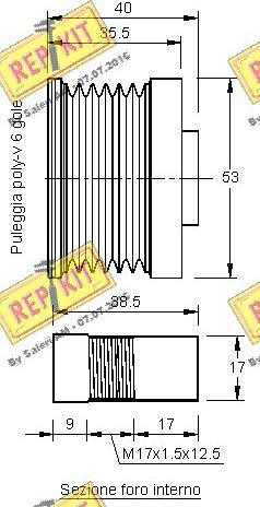 REPKIT RKT3106 - Remenica, alternator www.molydon.hr