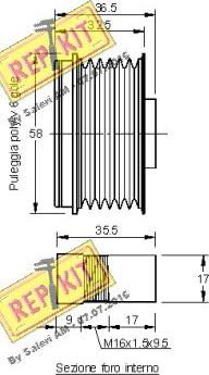 REPKIT RKT3118 - Remenica, alternator www.molydon.hr