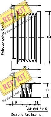 REPKIT RKT3171 - Remenica, alternator www.molydon.hr