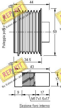 REPKIT RKT3173 - Remenica, alternator www.molydon.hr