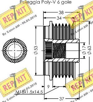 REPKIT RKT3809 - Remenica, alternator www.molydon.hr