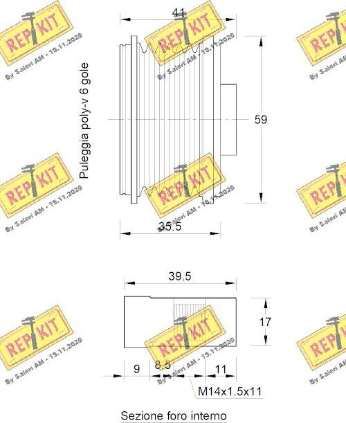 REPKIT RKT3821 - Remenica, alternator www.molydon.hr