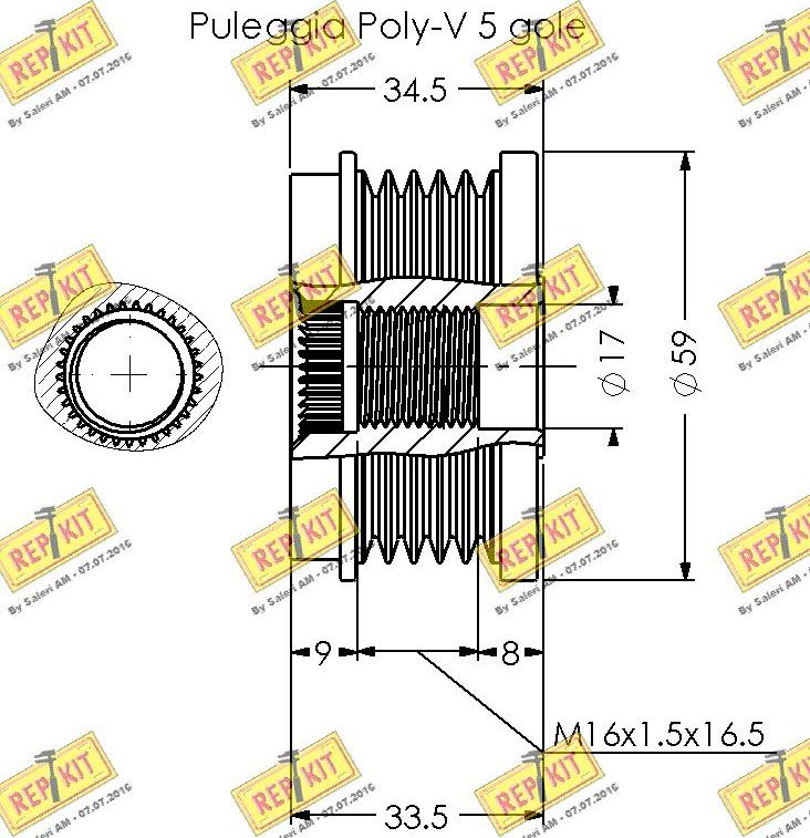 REPKIT RKT3354 - Remenica, alternator www.molydon.hr