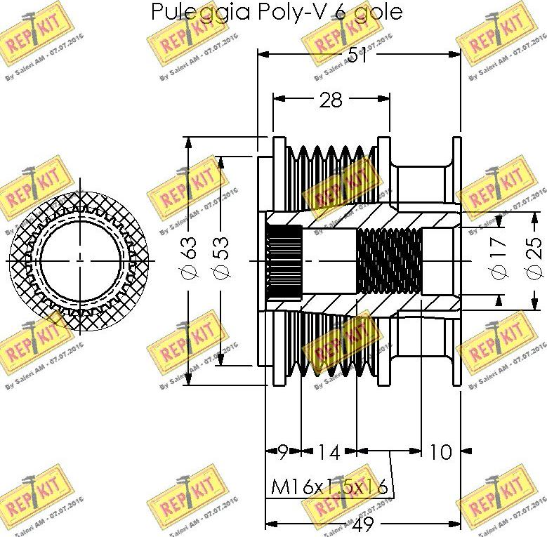 REPKIT RKT3368 - Remenica, alternator www.molydon.hr