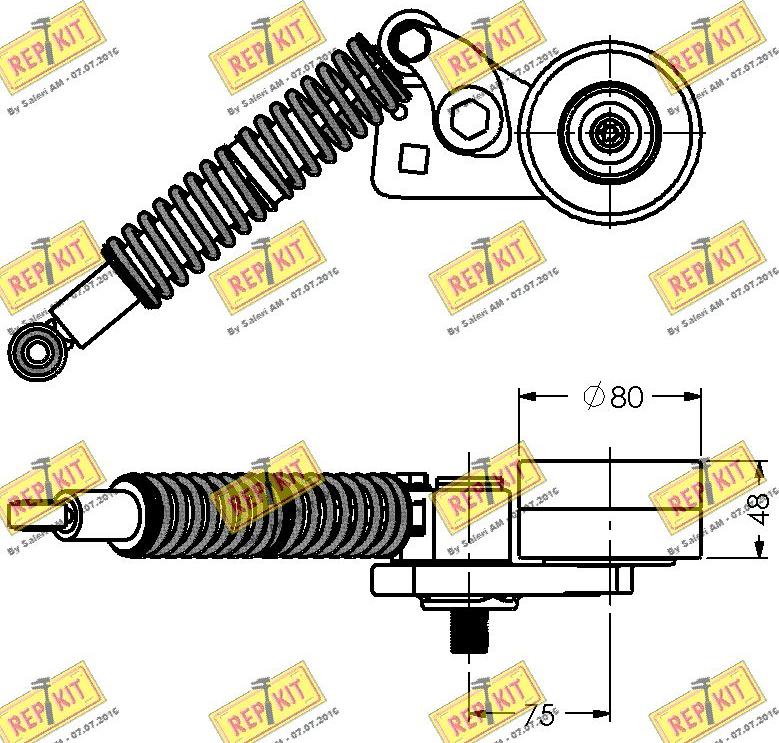 REPKIT RKT3381 - Natezač remena, klinasti rebrasti remen  www.molydon.hr