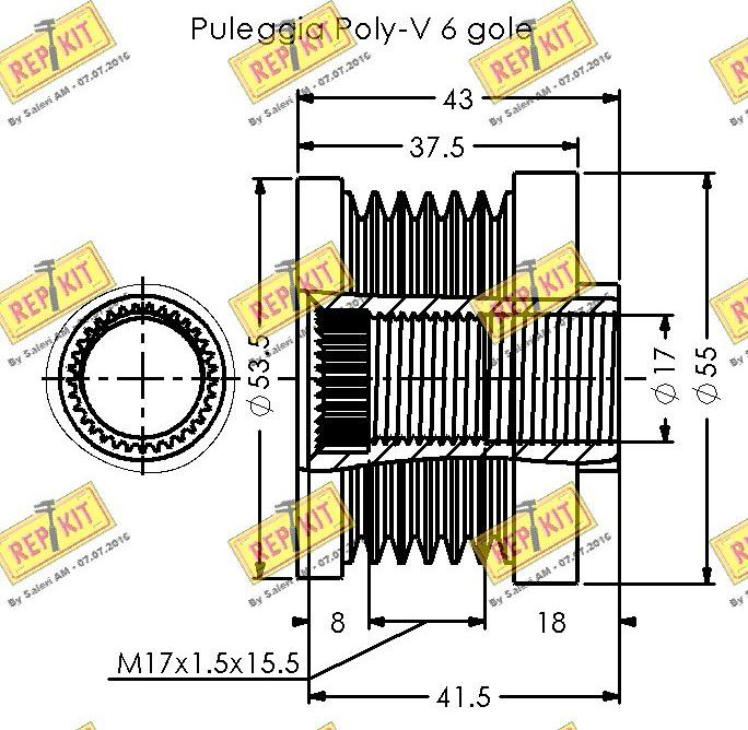 REPKIT RKT3335 - Remenica, alternator www.molydon.hr