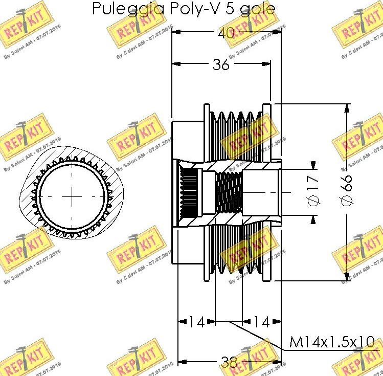 REPKIT RKT3336 - Remenica, alternator www.molydon.hr