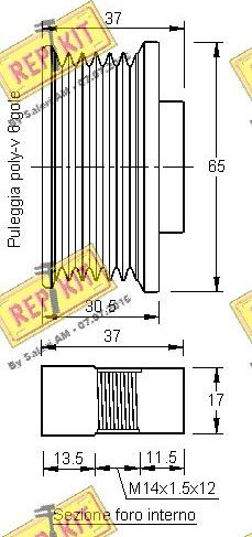 REPKIT RKT3249 - Remenica, alternator www.molydon.hr