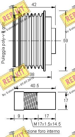 REPKIT RKT3246 - Remenica, alternator www.molydon.hr