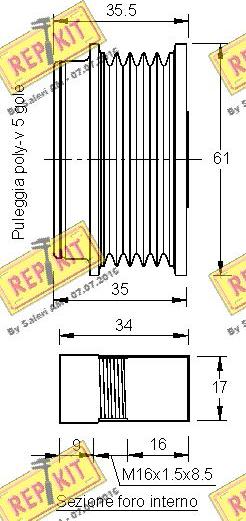 REPKIT RKT3211 - Remenica, alternator www.molydon.hr