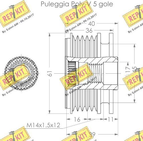 REPKIT RKT3792 - Remenica, alternator www.molydon.hr