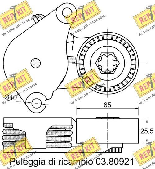 REPKIT RKT3762 - Natezač remena, klinasti rebrasti remen  www.molydon.hr