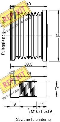 REPKIT RKT2958 - Remenica, alternator www.molydon.hr