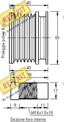 REPKIT RKT2966 - Remenica, alternator www.molydon.hr