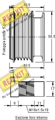 REPKIT RKT2961 - Remenica, alternator www.molydon.hr