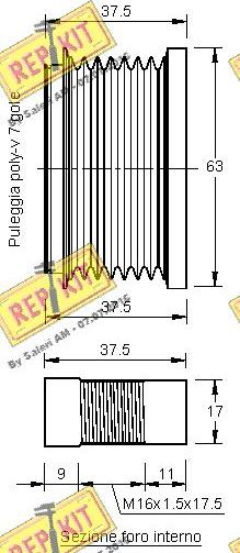 REPKIT RKT2962 - Remenica, alternator www.molydon.hr