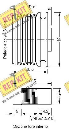 REPKIT RKT2967 - Remenica, alternator www.molydon.hr