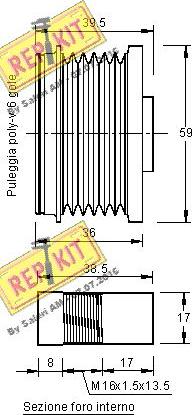 REPKIT RKT2905 - Remenica, alternator www.molydon.hr