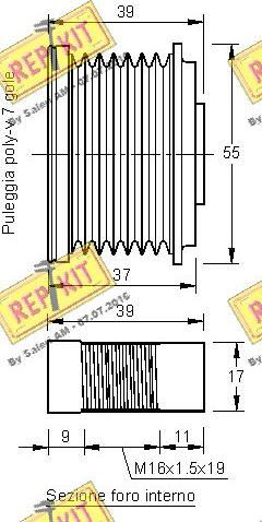 REPKIT RKT2931 - Remenica, alternator www.molydon.hr