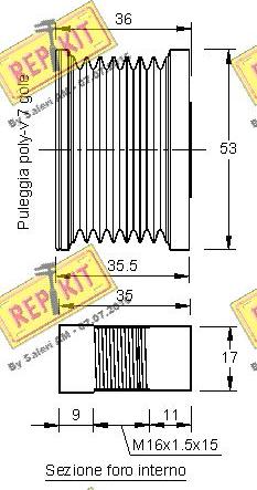 REPKIT RKT2929 - Remenica, alternator www.molydon.hr