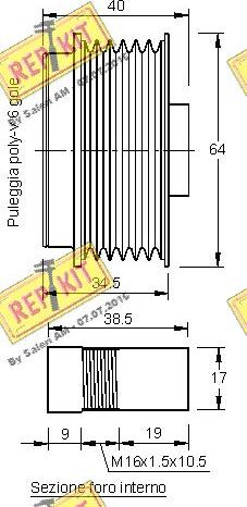 REPKIT RKT2925 - Remenica, alternator www.molydon.hr