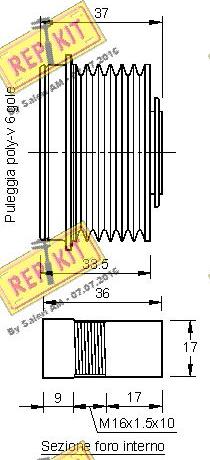 REPKIT RKT2926 - Remenica, alternator www.molydon.hr