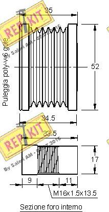 REPKIT RKT2976 - Remenica, alternator www.molydon.hr