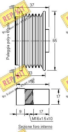 REPKIT RKT2697 - Remenica, alternator www.molydon.hr