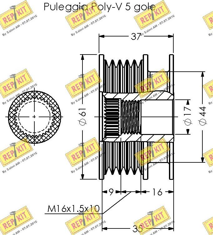 REPKIT RKT2062 - Remenica, alternator www.molydon.hr