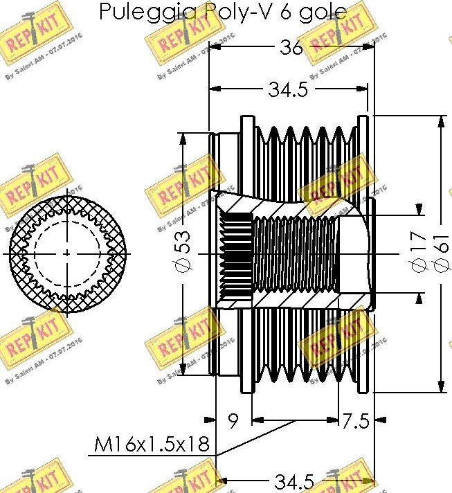 REPKIT RKT2072 - Remenica, alternator www.molydon.hr