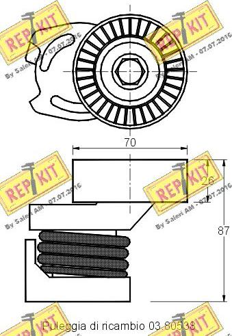 REPKIT RKT2134 - Natezač remena, klinasti rebrasti remen  www.molydon.hr