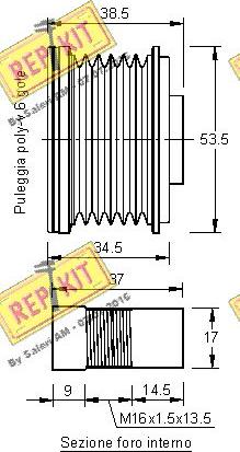 REPKIT RKT2369 - Remenica, alternator www.molydon.hr