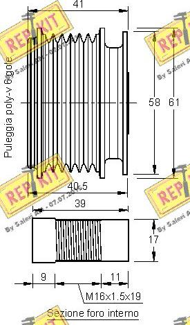 REPKIT RKT2365 - Remenica, alternator www.molydon.hr