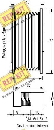 REPKIT RKT2361 - Remenica, alternator www.molydon.hr