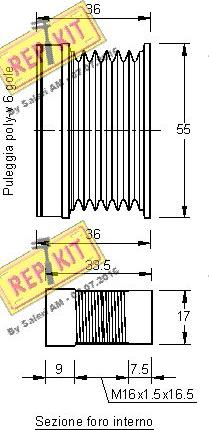 REPKIT RKT2317 - Remenica, alternator www.molydon.hr