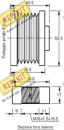 REPKIT RKT2371 - Remenica, alternator www.molydon.hr