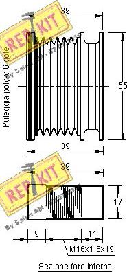 REPKIT RKT2295 - Remenica, alternator www.molydon.hr